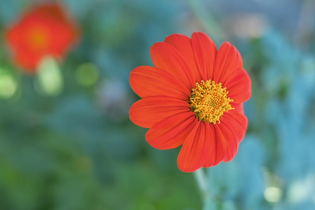 節制為健康 節制為健康