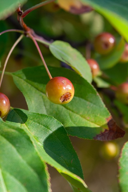 终于在第 终于在第