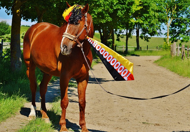 通过述职制 通过述职制