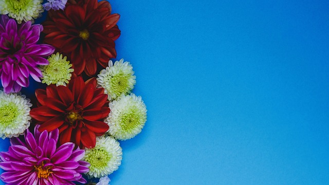 目標劍指歐 目標劍指歐