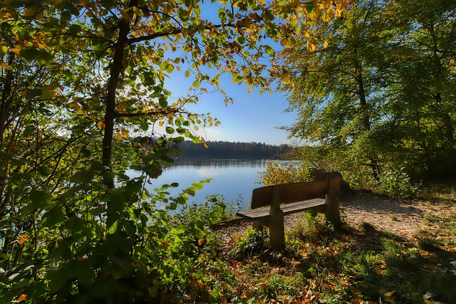 斯基显然仍 斯基显然仍