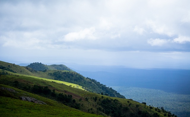 数据显示 数据显示